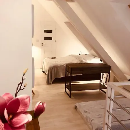 アパート 444 No.1 *