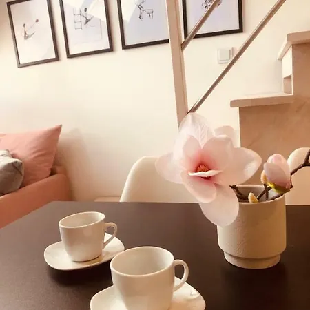 444 No.1 シュチェチン